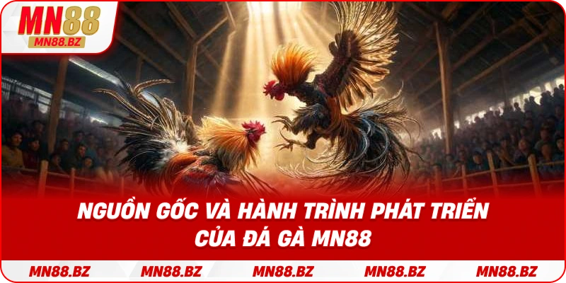 Quá trình hình thành và phát triển của đấu trường đá gà MN88