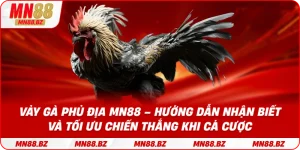 Vảy gà phủ địa MN88 – hướng dẫn nhận biết và tối ưu chiến thắng khi cá cược